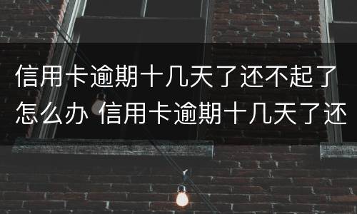 信用卡逾期十几天了还不起了怎么办 信用卡逾期十几天了还不起了怎么办呢
