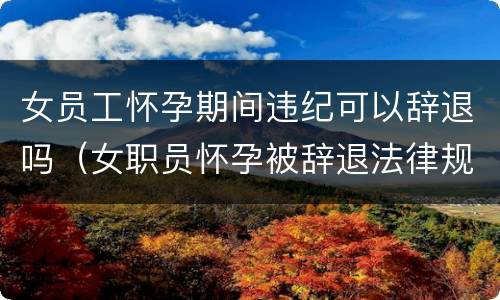 女员工怀孕期间违纪可以辞退吗（女职员怀孕被辞退法律规定）
