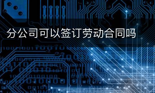 分公司可以签订劳动合同吗