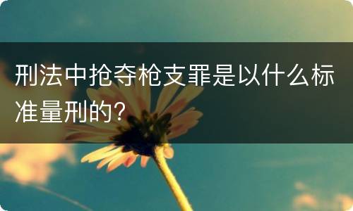 刑法中抢夺枪支罪是以什么标准量刑的?