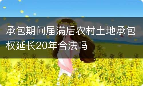承包期间届满后农村土地承包权延长20年合法吗