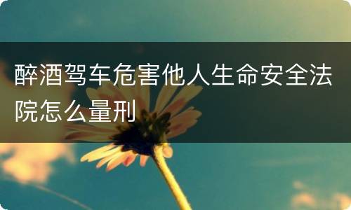 醉酒驾车危害他人生命安全法院怎么量刑