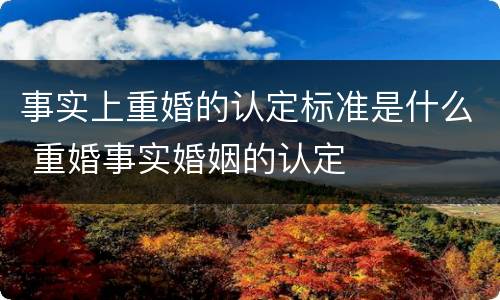 事实上重婚的认定标准是什么 重婚事实婚姻的认定