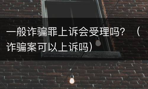 一般诈骗罪上诉会受理吗？（诈骗案可以上诉吗）