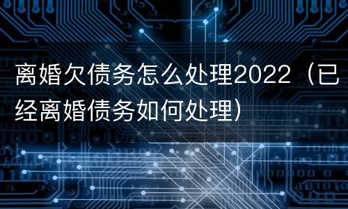 离婚欠债务怎么处理2022（已经离婚债务如何处理）