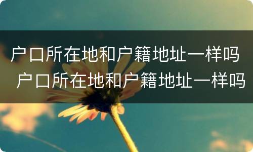 户口所在地和户籍地址一样吗 户口所在地和户籍地址一样吗