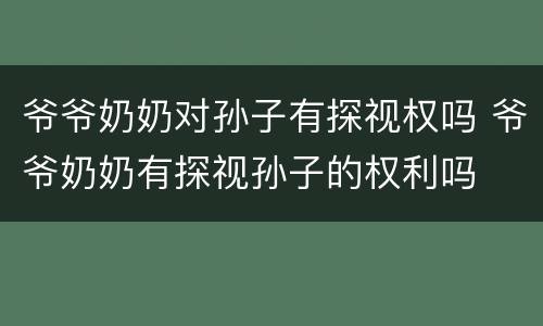 爷爷奶奶对孙子有探视权吗 爷爷奶奶有探视孙子的权利吗