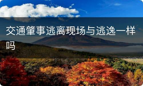 交通肇事逃离现场与逃逸一样吗