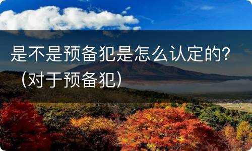 是不是预备犯是怎么认定的？（对于预备犯）