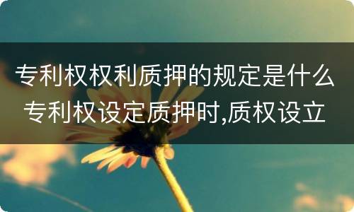 专利权权利质押的规定是什么 专利权设定质押时,质权设立时间