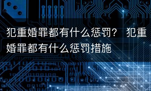 犯重婚罪都有什么惩罚？ 犯重婚罪都有什么惩罚措施