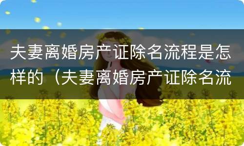夫妻离婚房产证除名流程是怎样的（夫妻离婚房产证除名流程是怎样的手续）