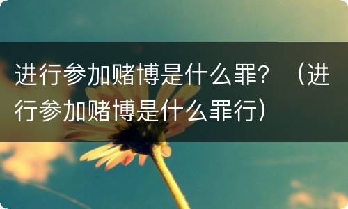 进行参加赌博是什么罪？（进行参加赌博是什么罪行）