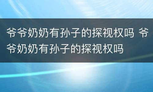 爷爷奶奶有孙子的探视权吗 爷爷奶奶有孙子的探视权吗