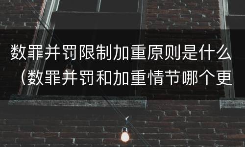 数罪并罚限制加重原则是什么（数罪并罚和加重情节哪个更重）