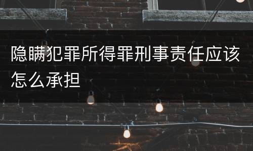 隐瞒犯罪所得罪刑事责任应该怎么承担
