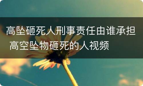 高坠砸死人刑事责任由谁承担 高空坠物砸死的人视频