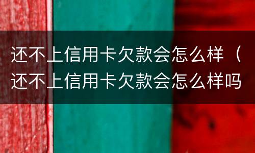 还不上信用卡欠款会怎么样（还不上信用卡欠款会怎么样吗）