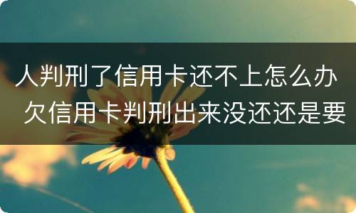 人判刑了信用卡还不上怎么办 欠信用卡判刑出来没还还是要判刑吗