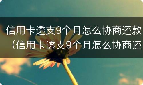 信用卡透支9个月怎么协商还款（信用卡透支9个月怎么协商还款划算）