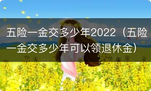 五险一金交多少年2022（五险一金交多少年可以领退休金）