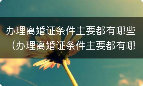 办理离婚证条件主要都有哪些（办理离婚证条件主要都有哪些内容）