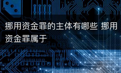 挪用资金罪的主体有哪些 挪用资金罪属于