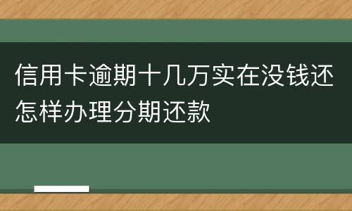 信用卡逾期十几万实在没钱还怎样办理分期还款