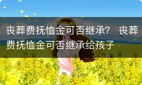 丧葬费抚恤金可否继承？ 丧葬费抚恤金可否继承给孩子
