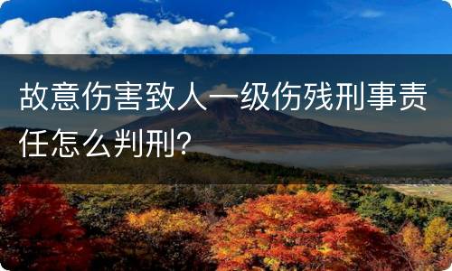 故意伤害致人一级伤残刑事责任怎么判刑？