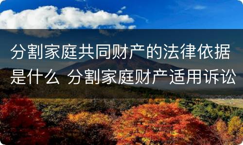 分割家庭共同财产的法律依据是什么 分割家庭财产适用诉讼时效吗