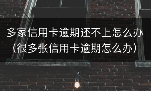 多家信用卡逾期还不上怎么办（很多张信用卡逾期怎么办）