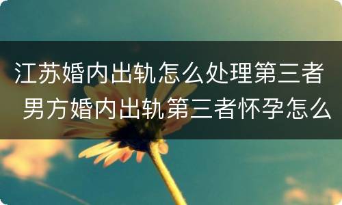 江苏婚内出轨怎么处理第三者 男方婚内出轨第三者怀孕怎么办
