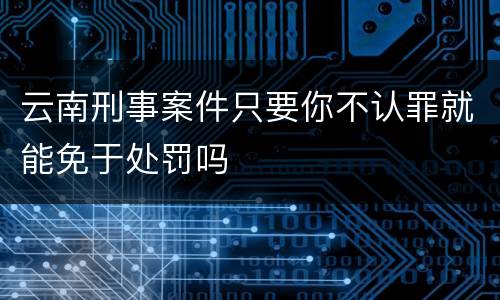 云南刑事案件只要你不认罪就能免于处罚吗