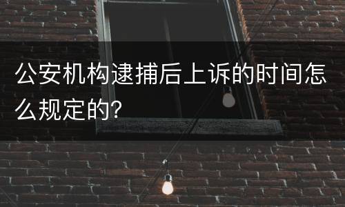 公安机构逮捕后上诉的时间怎么规定的？