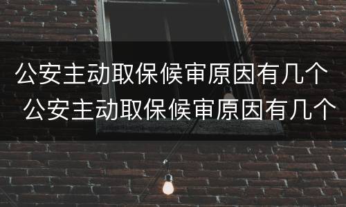 公安主动取保候审原因有几个 公安主动取保候审原因有几个证据