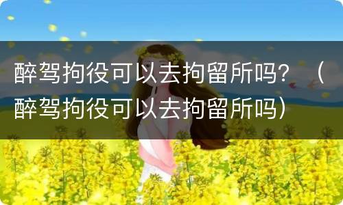 醉驾拘役可以去拘留所吗？（醉驾拘役可以去拘留所吗）