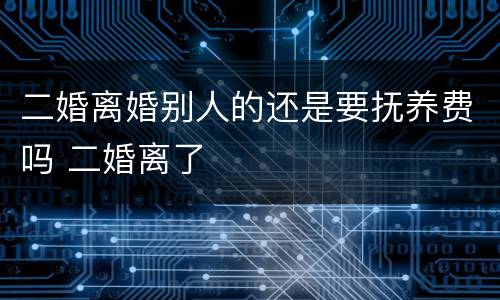 二婚离婚别人的还是要抚养费吗 二婚离了