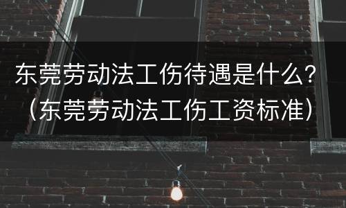 东莞劳动法工伤待遇是什么？（东莞劳动法工伤工资标准）