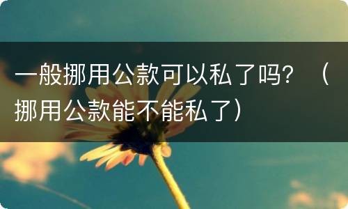 一般挪用公款可以私了吗？（挪用公款能不能私了）