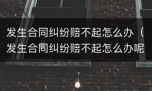 发生合同纠纷赔不起怎么办（发生合同纠纷赔不起怎么办呢）