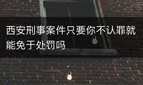 西安刑事案件只要你不认罪就能免于处罚吗