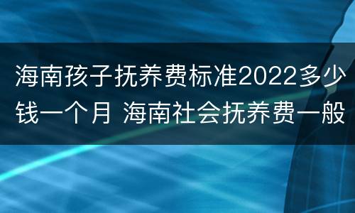 海南孩子抚养费标准2022多少钱一个月 海南社会抚养费一般多少钱
