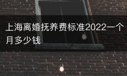 上海离婚抚养费标准2022一个月多少钱