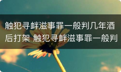 触犯寻衅滋事罪一般判几年酒后打架 触犯寻衅滋事罪一般判几年酒后打架吗