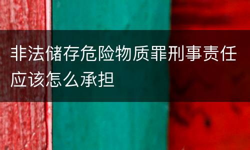 非法储存危险物质罪刑事责任应该怎么承担