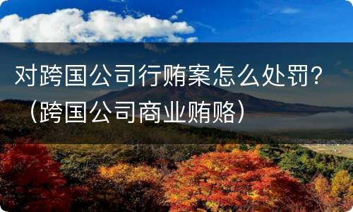 对跨国公司行贿案怎么处罚？（跨国公司商业贿赂）