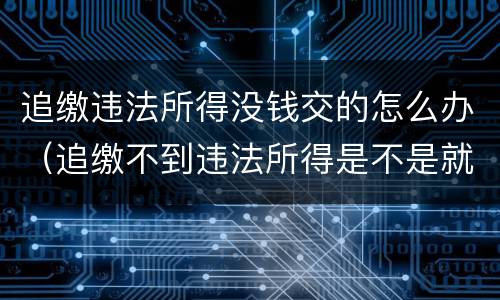 追缴违法所得没钱交的怎么办（追缴不到违法所得是不是就不了了之了）