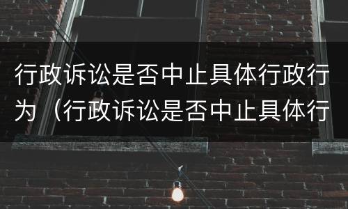 行政诉讼是否中止具体行政行为（行政诉讼是否中止具体行政行为的情形）