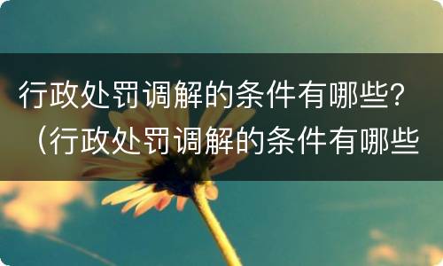 行政处罚调解的条件有哪些？（行政处罚调解的条件有哪些规定）